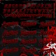 Custom Graffiti Pattern Black-Red Dark Abstract Urban Street Art 3D Bomber Full-Snap Varsity Letterman Jacket Custom Graffiti Pattern Black-Red Dark Abstract Urban Street Art 3D Bomber Full-Snap Varsity Letterman Jacket