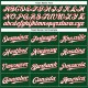 Custom Green White-Red Authentic rugby Jersey Custom Green White-Red Authentic rugby Jersey